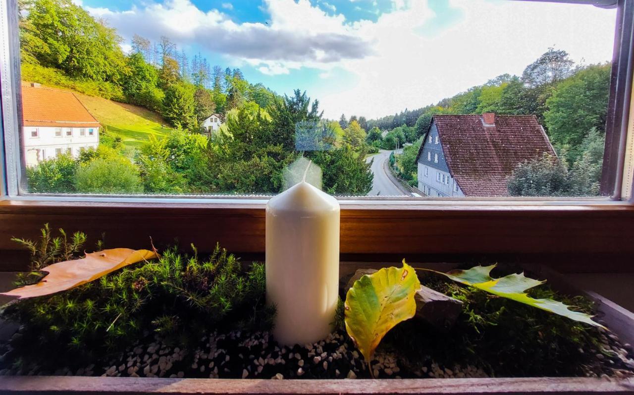 Gemütliche Ferienwohnung im Harz Bad Grund Exterior foto