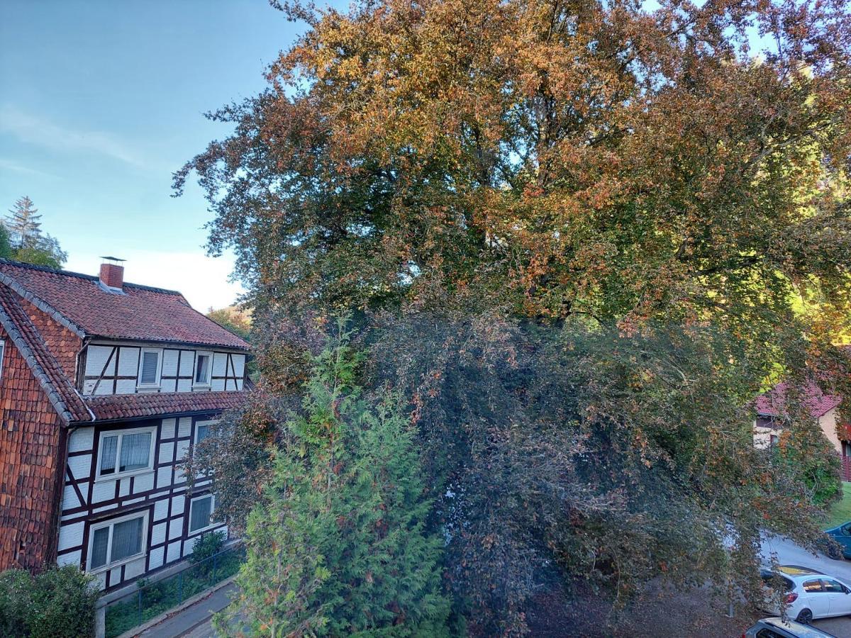Gemütliche Ferienwohnung im Harz Bad Grund Exterior foto